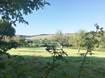 View from the site.