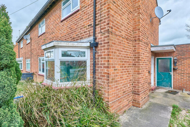 P1702575 T202603241724.jpg