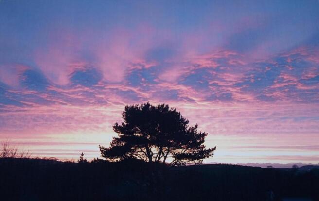 Sunset View