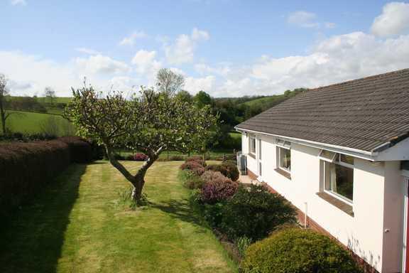 Back Garden