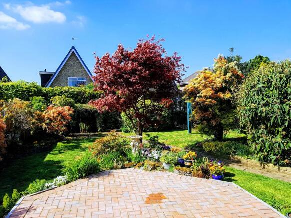 Back Garden 