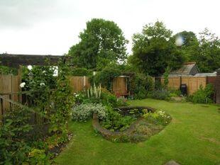 Photo 7
