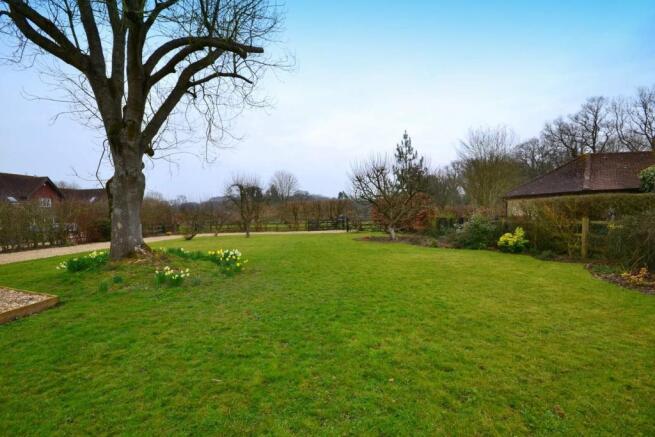 garden