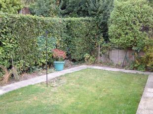 Rear Lawn
