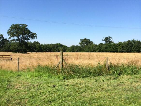 Field