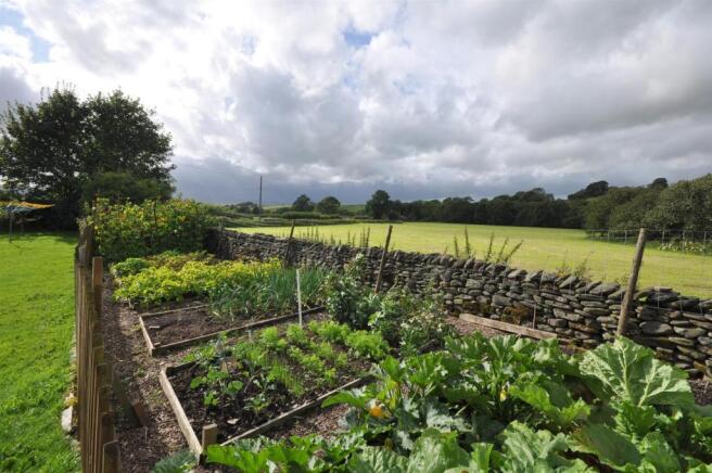 Vegetable Garden