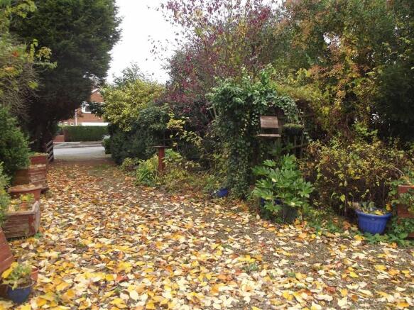 Photo 11