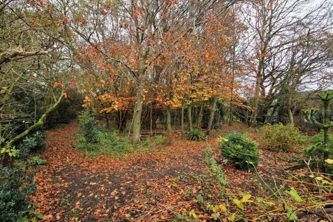 Woodland