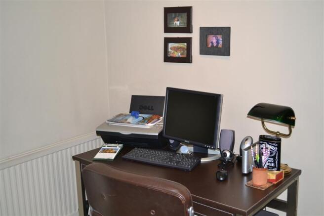 Study Area