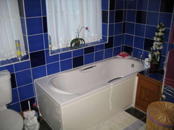 Photo 7