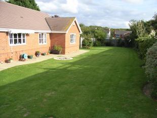 Rear of Property