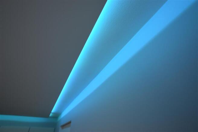 Internal Feature
