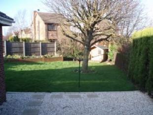 Garden 2