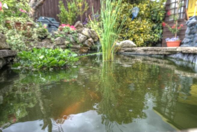 Pond