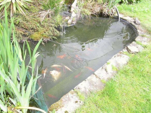 Pond