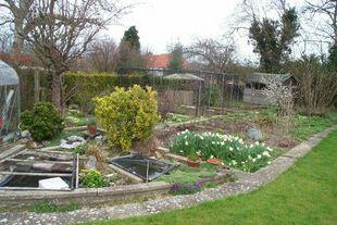 Front Garden