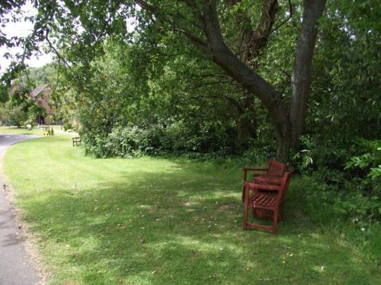 Communal Gardens