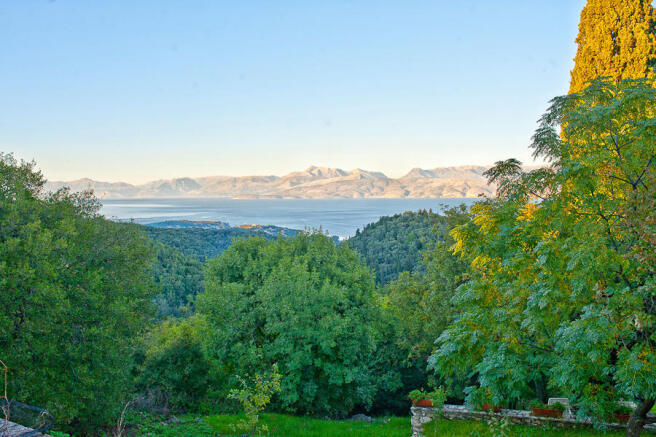 View from the house