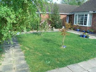 Picture 8