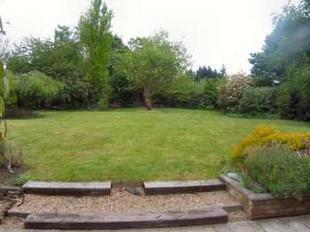 REAR  GARDEN