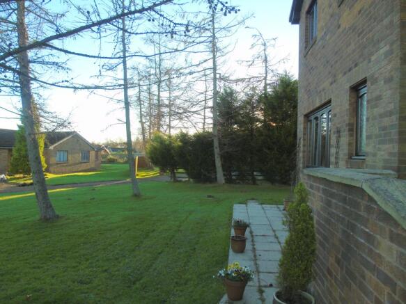 Photo 25
