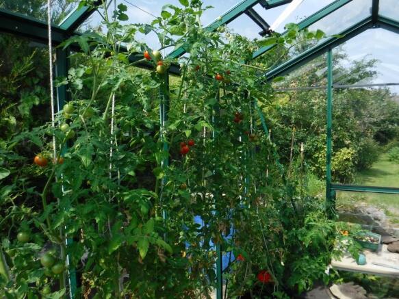 GREENHOUSE