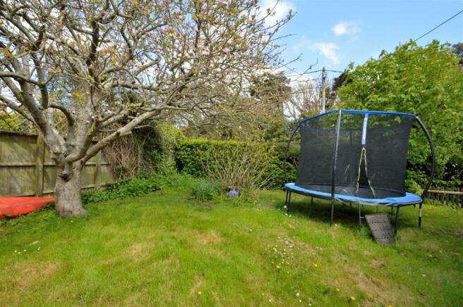 rear garden.JPG