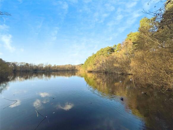Sweet Briar, Crowthorne, Berkshire photo 4
