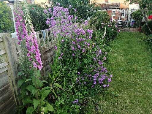 Garden.