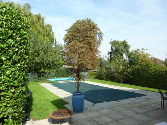 Photo 10
