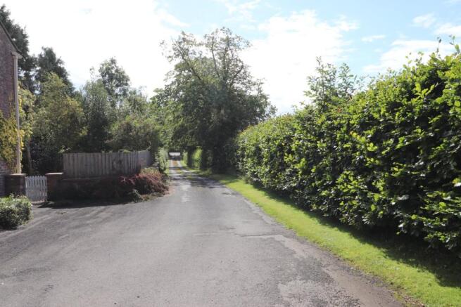 Driveway