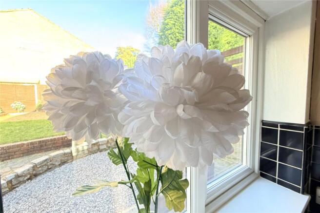 View From Kitchen