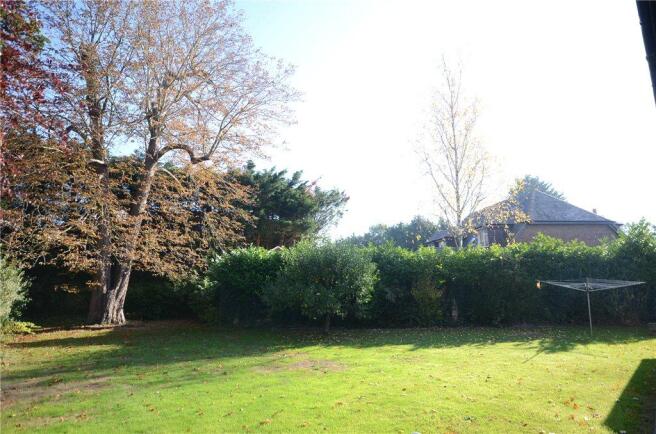 Garden 2