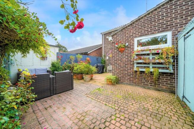Back Garden