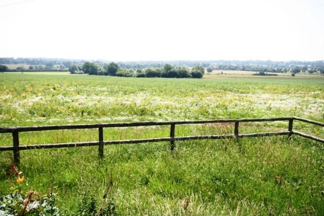 COUNTRY VIEWS