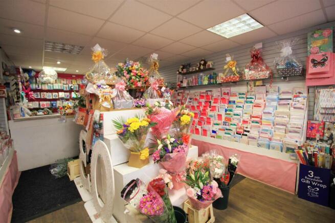 2025-11-18 11.56.17_inPixio.jpg