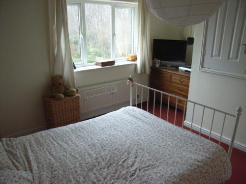 Photo 5