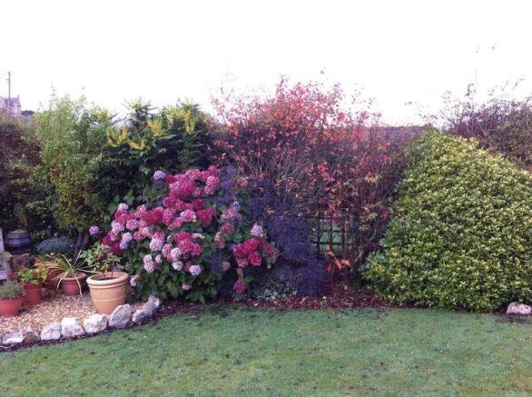 Garden area