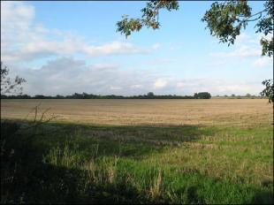 View to side