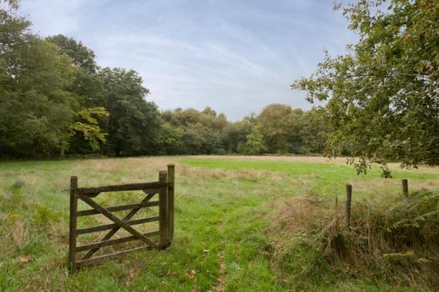 View Of Field