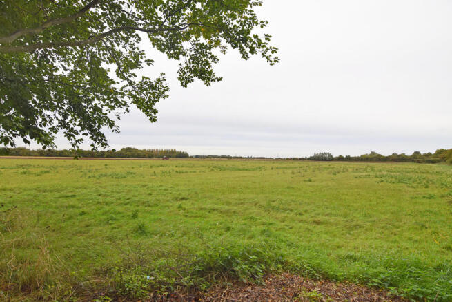 Field Views to Re...