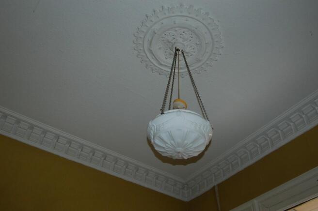 Rose & cornice