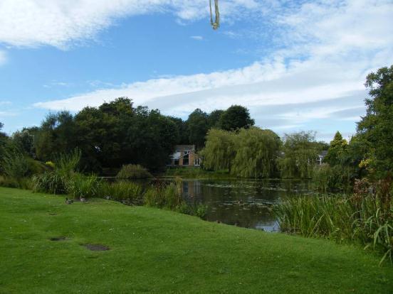 Duck Pond