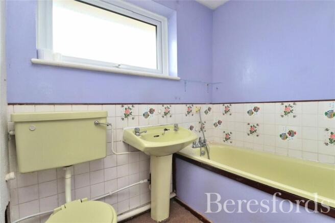 Picture 8