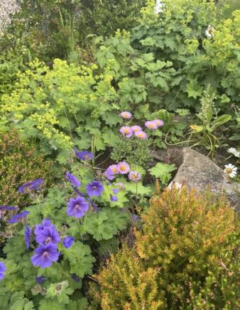 Regal Drive Rear Garden