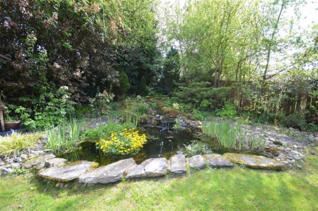 POND