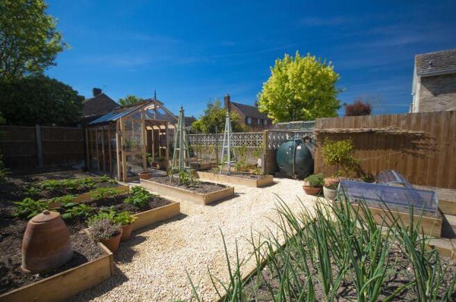 Vegetable Garden