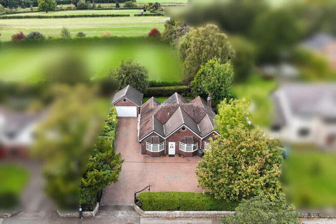 PLOT VIEW