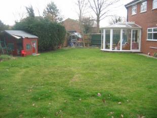 Garden 1