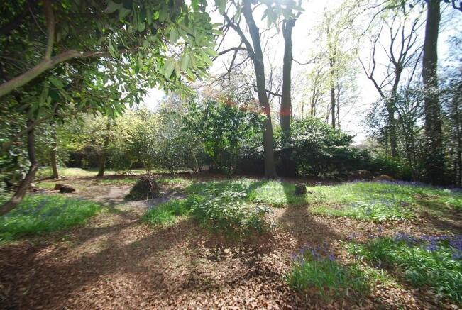 Grounds
